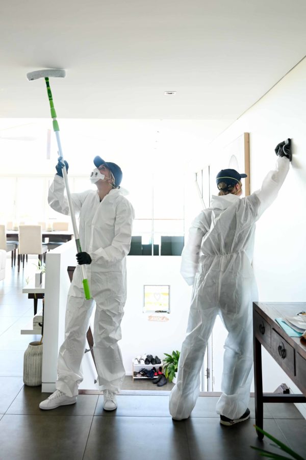 Mould Removal and Remediation